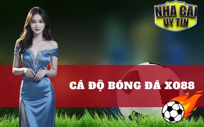 Cá Độ Bóng Đá Xo88