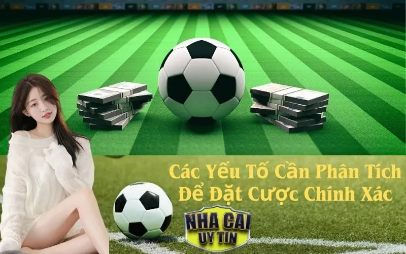 Các Yếu Tố Cần Phân Tích Để Đặt Cược Chính Xác