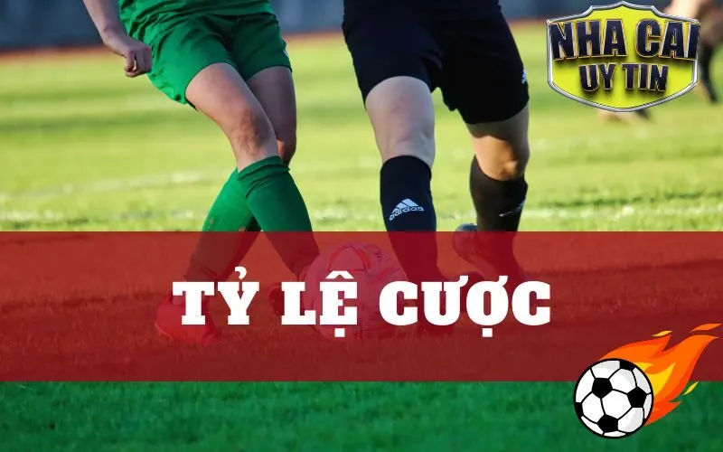 Tỷ Lệ Cược Và Kèo Xo88 - Những Điều Cần Biết